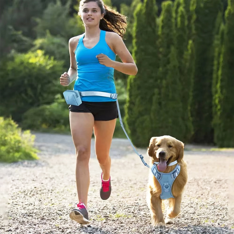Material de la correa para perros